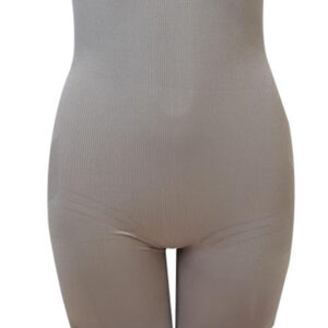 Gaine panty microfibre